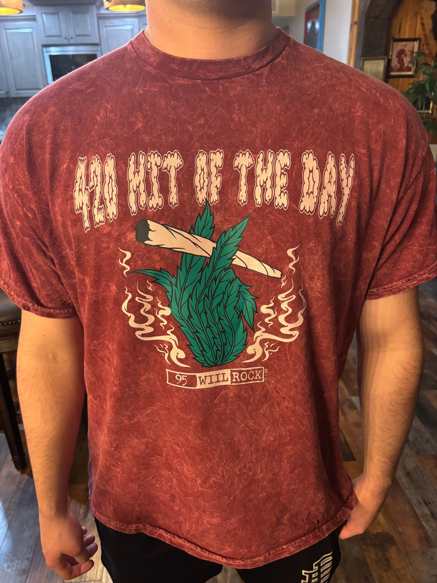 95 WIIL ROCK 420 HIT OF THE DAY T-SHIRTS